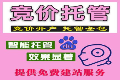 专业SEM托管服务，案例展示精准营销成果